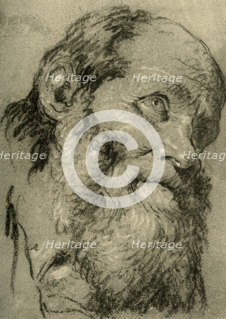 'Head of an Old Man', c1755, (1928). Artist: Giovanni Battista Tiepolo.