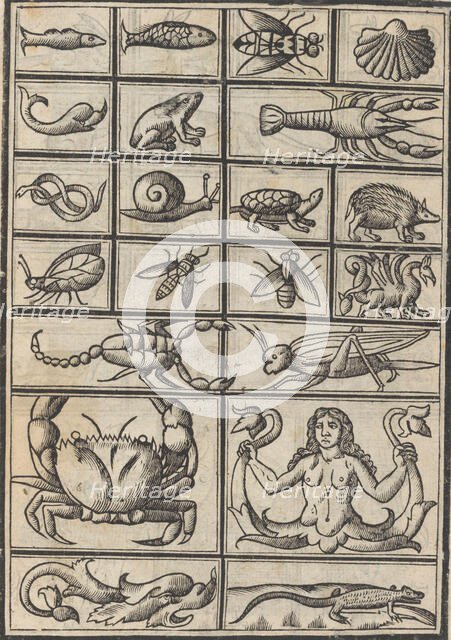 Trionfo Di Virtu. Libro Novo..., page 23 (verso), 1563. Creator: Matteo Pagano.