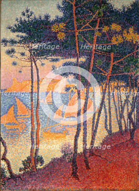 Sails and pines. Artist: Signac, Paul (1863-1935)