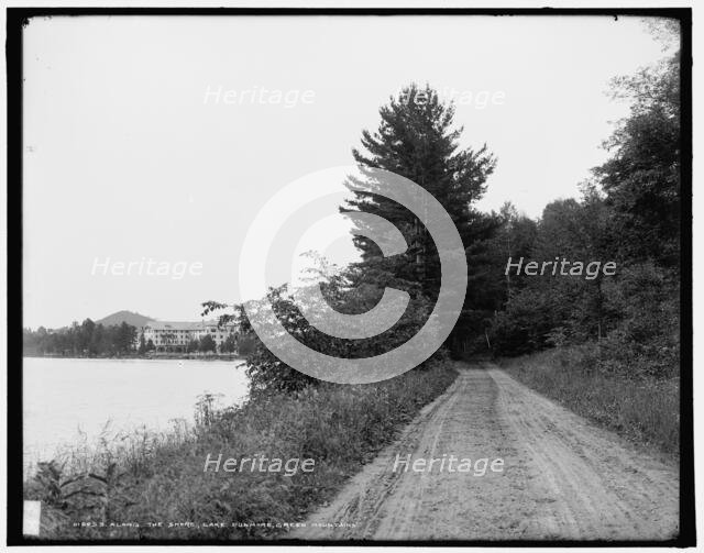 Along the shore, Lake Dunmore, Green Mountains, between 1900 and 1906. Creator: Unknown.