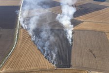 Fires in an arable field engulfing an electricty pylon, Amcotts, North Lincolnshire, 2022. Creator: Emma Trevarthen.