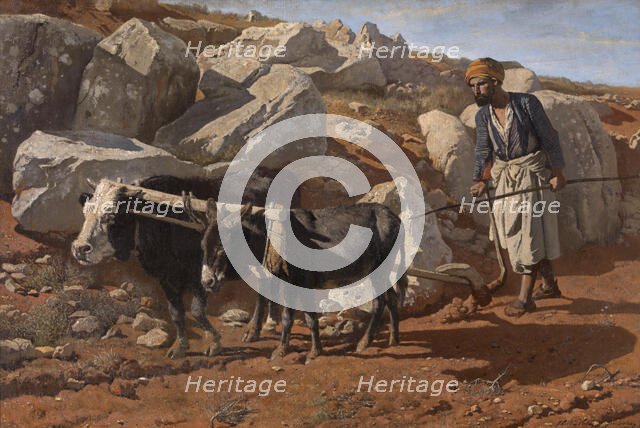Plough Ox and Mule with Fellah, 1876. Creator: Charles Verlat.