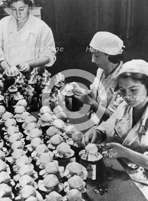 Women sealing flasks of donated blood, World War II, Moscow, 1941. Artist: Unknown