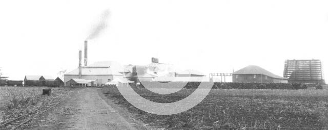 Little Rocky Point Sugar Mill, Near Woongoolba, Qld, 1882. Creator: Robert Augustus Henry L'Estrange.