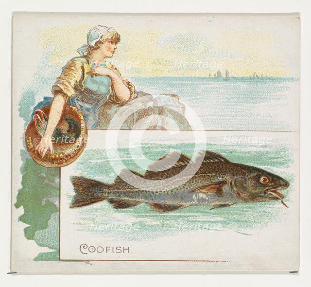 Codfish, from Fish from American Waters series (N39) for Allen & Ginter Cigarettes, 1889. Creator: Allen & Ginter.