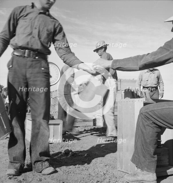 Paymaster on edge of pea fields pays a...,near Calipatria, Imperial Valley, CA, 1939. Creator: Dorothea Lange.
