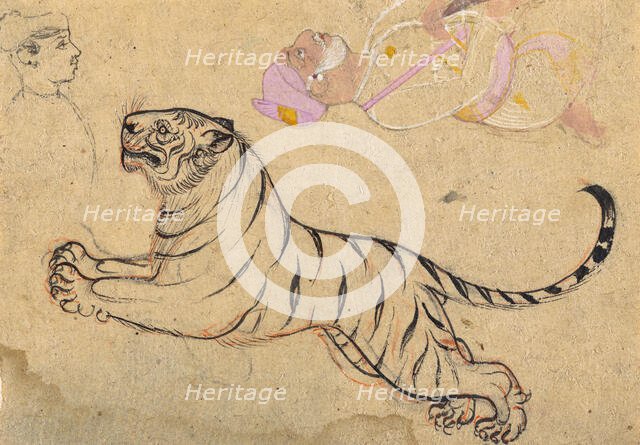 Studies of a Tiger and Two Humans, c1875. Creator: Unknown.