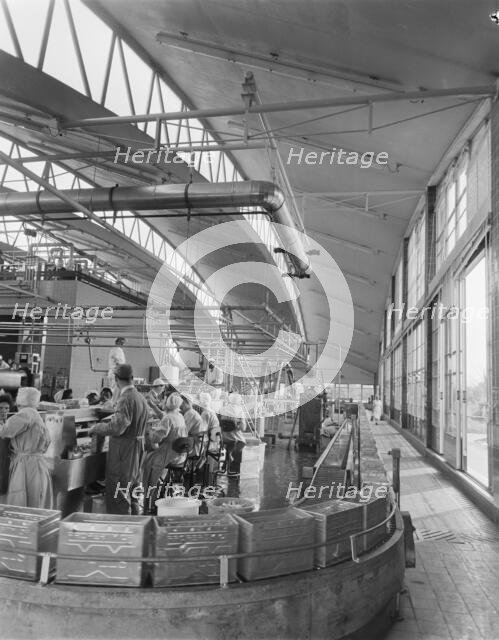 Wall's Ice Cream Factory, Gloucester, Gloucestershire, 13/06/1961. Creator: John Laing plc.