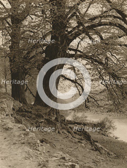 'In the Valley of the Nab', 1931. Artist: Kurt Hielscher.