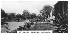 Botanical Gardens, Adelaide, Australia, 1928. Artist: Unknown