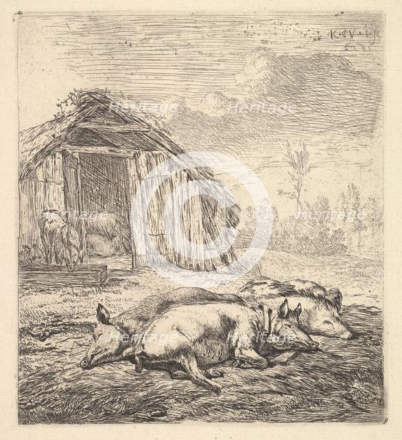 Three pigs lying on their sides, a pigsty and trough beyond, 1652. Creator: Karel Du Jardin.
