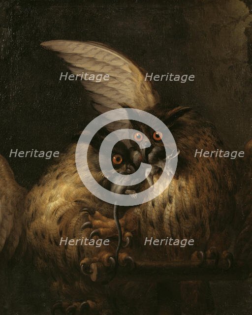 Two Owls Fighting over a Rat, late 17th-early 18th century. Creator: Hans Georg Muller.