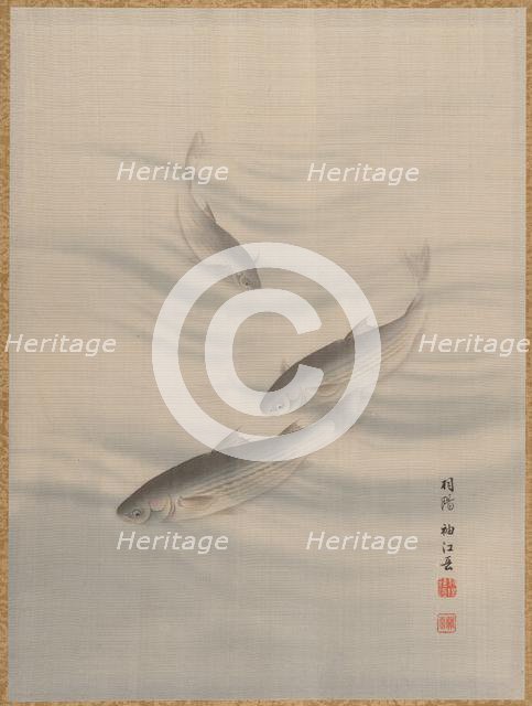 Fishes Swimming, ca. 1890-92. Creator: Seki Shuko.
