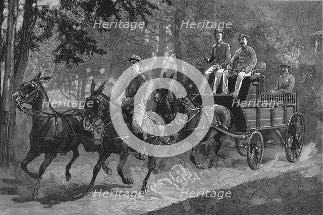 'A Mule four-in-hand in Burma', 1886.   Creator: Unknown.