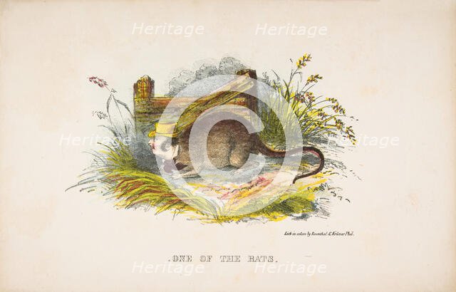One of the Rats, from The Comic Natural History of the Human Race, 1851. Creators: Henry Louis Stephens, L. Rosenthal.