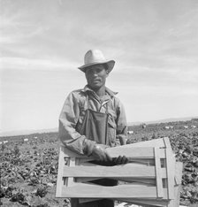 Filipino lettuce field laborer, Imperial Valley, California, 1939. Creator: Dorothea Lange.