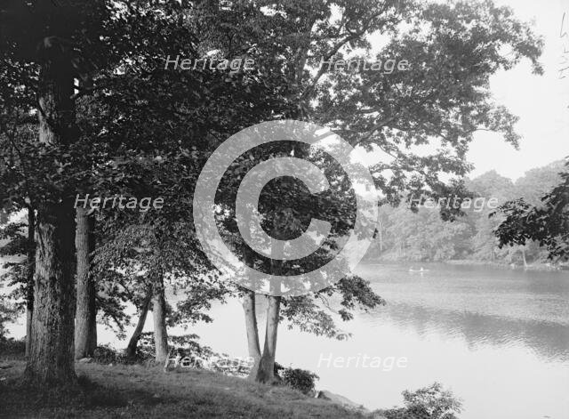 Along the Bronx River, Bronx Park, New York, c1906. Creator: Unknown.