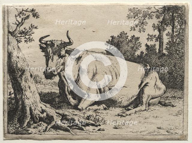 The cow lying down near a tree. Creator: Paulus Potter (Dutch, 1625-1654).