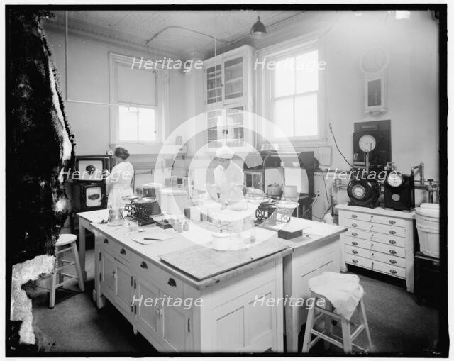 Home Economics Section, between 1910 and 1920. Creator: Harris & Ewing.