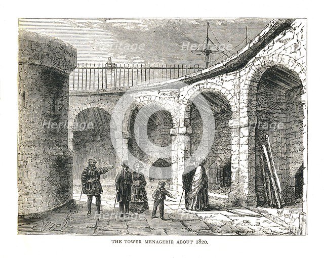 The Tower Managerie, 1878. Artist: Walter Thornbury