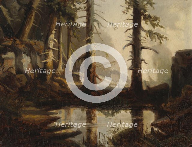 A Forest Pond, after H. A. Cappelen, 1871. Creator: Fanny Churberg.