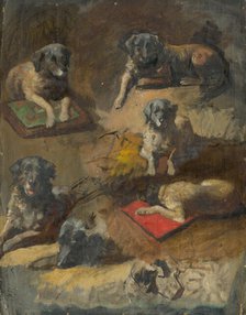 Study of a Dog, 1860-1900. Creator: Jan Nowopacký.