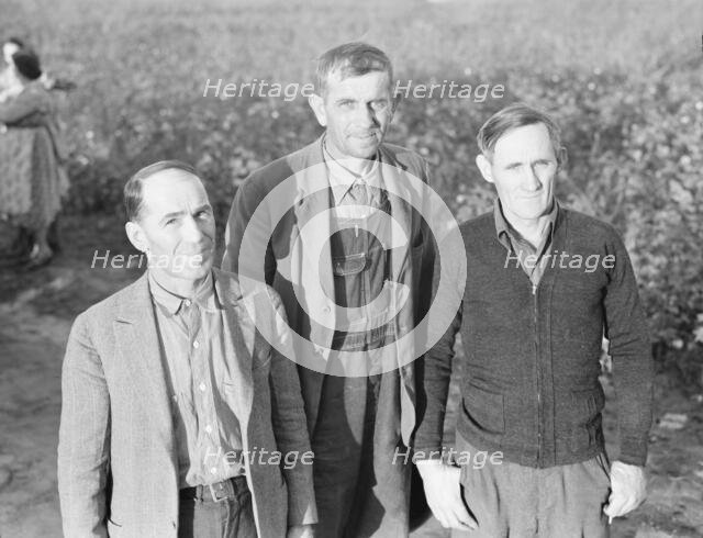 Board of directors of the Mineral King Farm Association, Tulare County, California, 1938. Creator: Dorothea Lange.