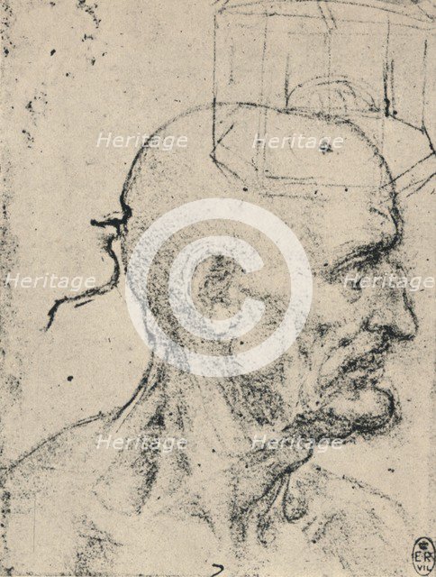 'Profile to Right of a Bald Man, c1480 (1945). Artist: Leonardo da Vinci.