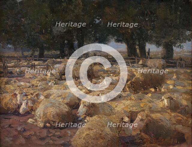 Sheep Park (Heidemoor), 1898. Creator: Heinrich von Zugel.