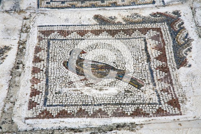 A mosaic in House 4, Italica, Spain, 2007. Artist: Samuel Magal