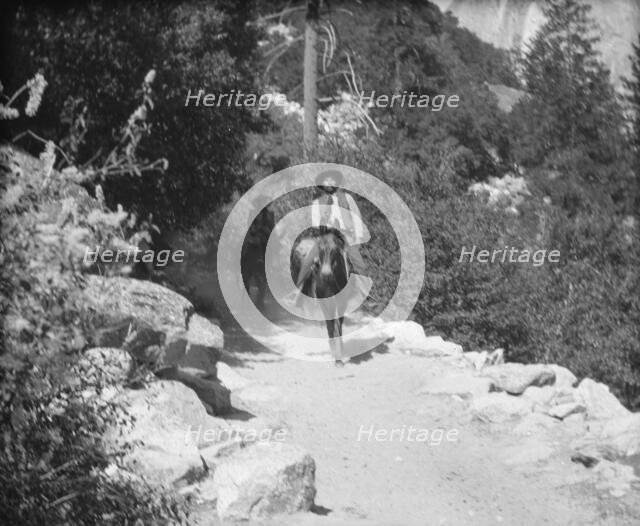 Travel views of Yosemite National Park, between 1903 and 1906. Creator: Arnold Genthe.
