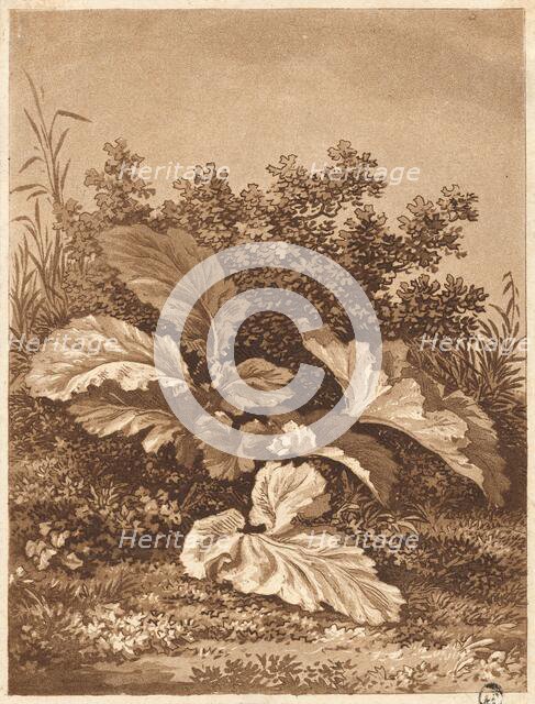 A Study of Leaves, c. 1800. Creator: Anton Balzer.