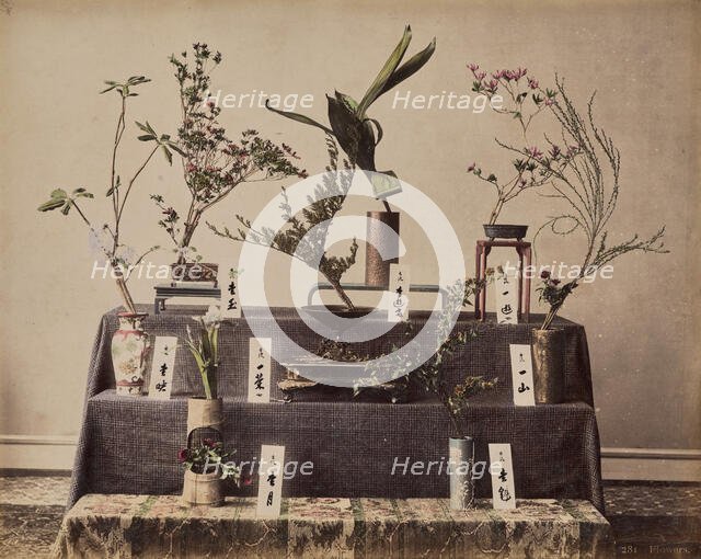 Flowers, about 1875-1890s. Creator: Unknown.