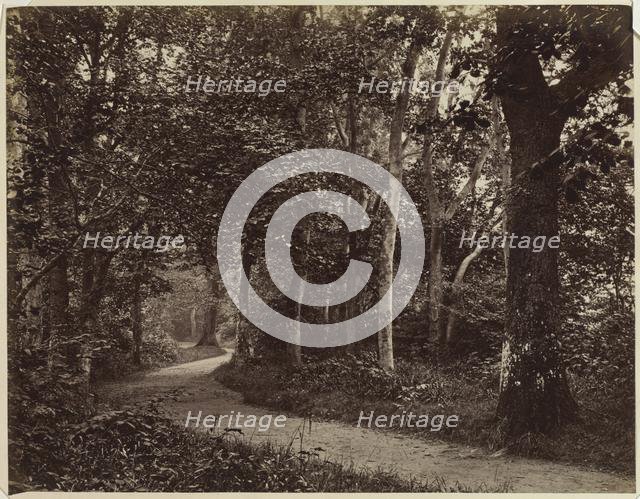 Untitled (Landscape), early 1860s. Creator: Unidentified Photographer.