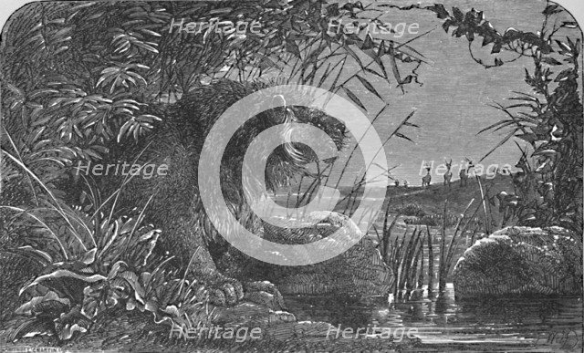 'Waiting for the Antelopes', c1900. Artist: Helena J. Maguire.