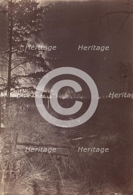 The Wilderness Battlefield, 1864. Creator: Unknown.