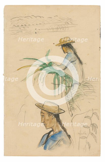 Sketches of Figures, Pandanus Leaf, and Vanilla Plant, 1891/93. Creator: Paul Gauguin.