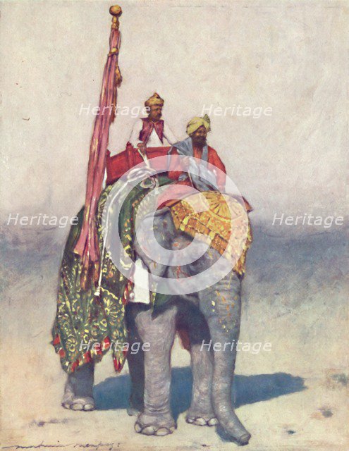 'An Elephant from Jaipur', 1903. Artist: Mortimer L Menpes.