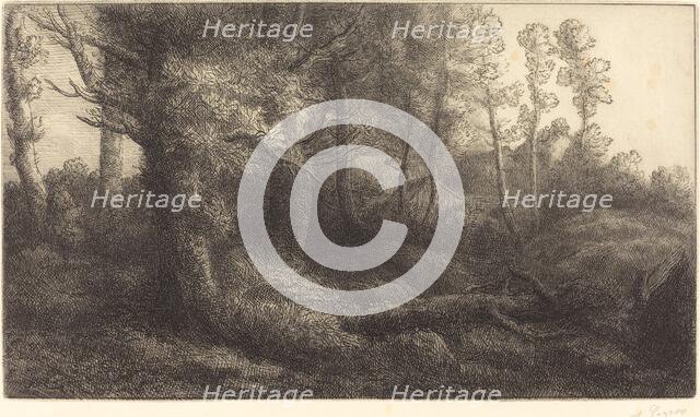 In the Forest (Lisiere de foret). Creator: Alphonse Legros.