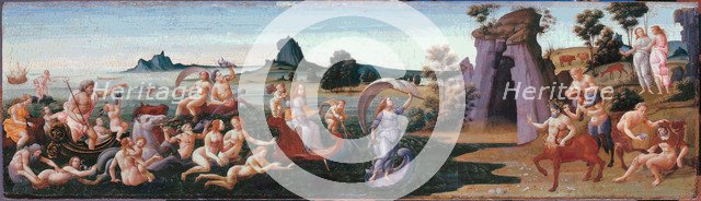 The procession of Thetis, c. 1490-1499.