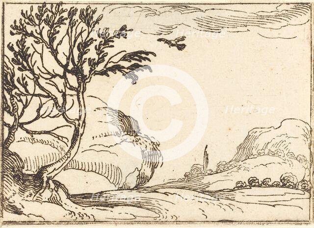 Turtle Dove Flying in the Desert. Creator: Jacques Callot.