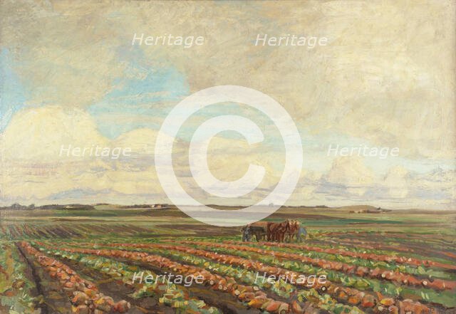 Harvest of Turnips, 1925-1927. Creator: Fritz Syberg.