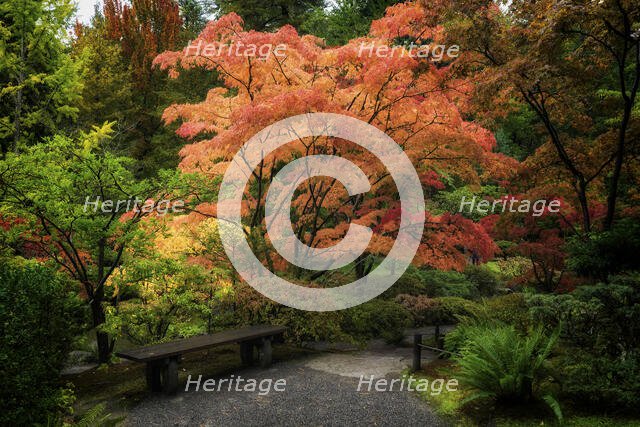 Japanese Gardens. Creator: Joshua Johnston.