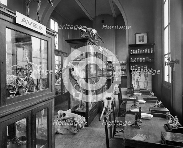 Mason's College, Paradise Street, Birmingham, West Midlands, 1897. Artist: Henry Bedford Lemere.