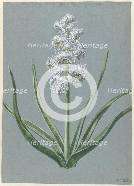 Hyacinth Margrave Charles of Baden Durlach, 1720-1729. Creator: Hendrik Budde.