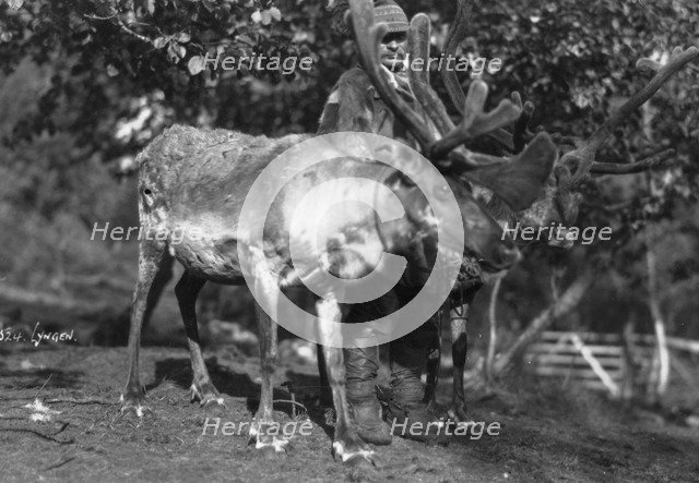 Local man with a reindeer, Lyngen, northern Norway, c1920s-c1930s(?). Artist: Unknown