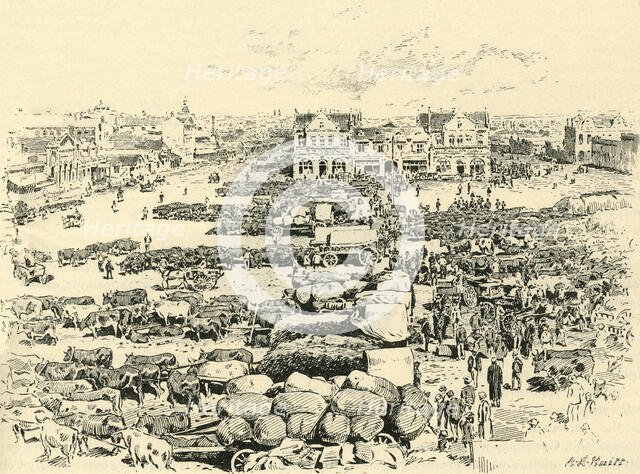 'Morning Market, Johannesburg', c1900. Creator: A.E. Huitt.