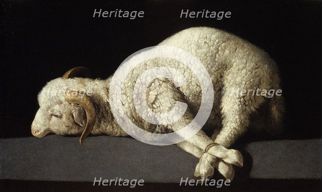 Agnus Dei, 1635-1640. Artist: Zurbarán, Francisco, de (1598-1664)