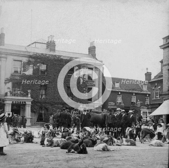Goat market, possibly Ireland, 1895. Creator: Robert Augustus Henry L'Estrange.