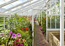 Interior of the greenhouse in the gardens of Walmer Castle, Kent, c1980-c2017. Artist: Historic England Staff Photographer.